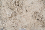 250613A-082130-00937