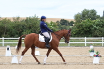 SBM_012811