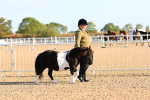 SBM_07970