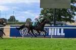 010826-Race 6-La Peregrina-3356