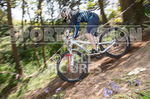 MTB 2017  Downhill Race-2-27