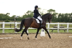 SBM_002880