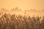 ab624 Bembridge windmill first light