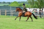 SBM_07919