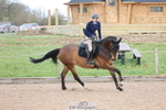 Cls 32 British Novice and 90cm Open portfolio