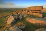 Roos Tor Glow