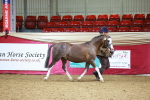 SBM_00447