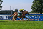160726-Race 6-Capital Guarantee-5146