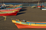 Fishing Boats