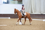 SBM_001381