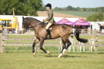SBM_09781
