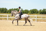 SBM_005731