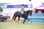 SBM_11408
