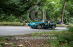 Heritage Charity Hillclimb_2014-222