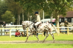 SBM_62481