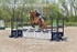 BPP_6763