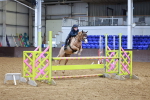 SBM_001923