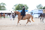 SBM_17153