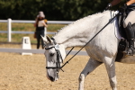 SBM_009287