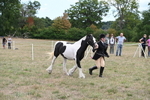 WJ6_5709