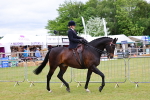 SBM_02903