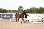 SBM_15945