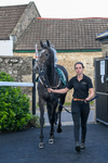 080926-Race 6-Shes A Goldigger-2897
