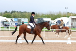 SBM_00206