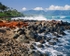 Istock #16673808