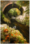 The Old Bridge, Tollymore Forest (IMG0576)