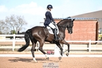 Class 7, FEI Intermediate I Silver portfolio