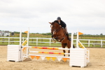 SBM_009019