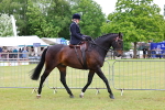 SBM_02810
