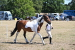 WJ6_8546