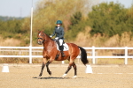 SBM_016711