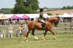 SBM_06896