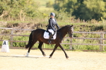 SBM_009685