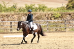 SBM_001717