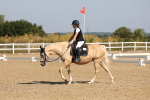 SBM_003034