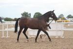 SBM_07851