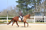 3E7A3980