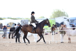 SBM_10835
