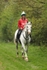 SPXX4188