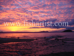Stream Mouth Sunset.
