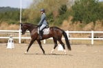 SBM_013605