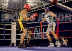Boxing_Guernsey v Manchester-135
