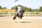 SBM_012300