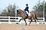 Cls 4 Novice Gold portfolio