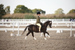 SBM_09196