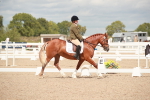 SBM_05862
